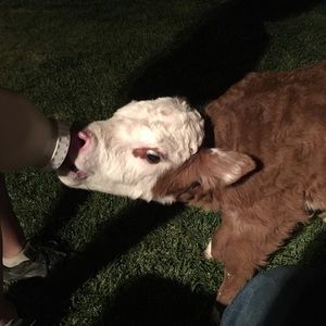 Meet your Posher, Will